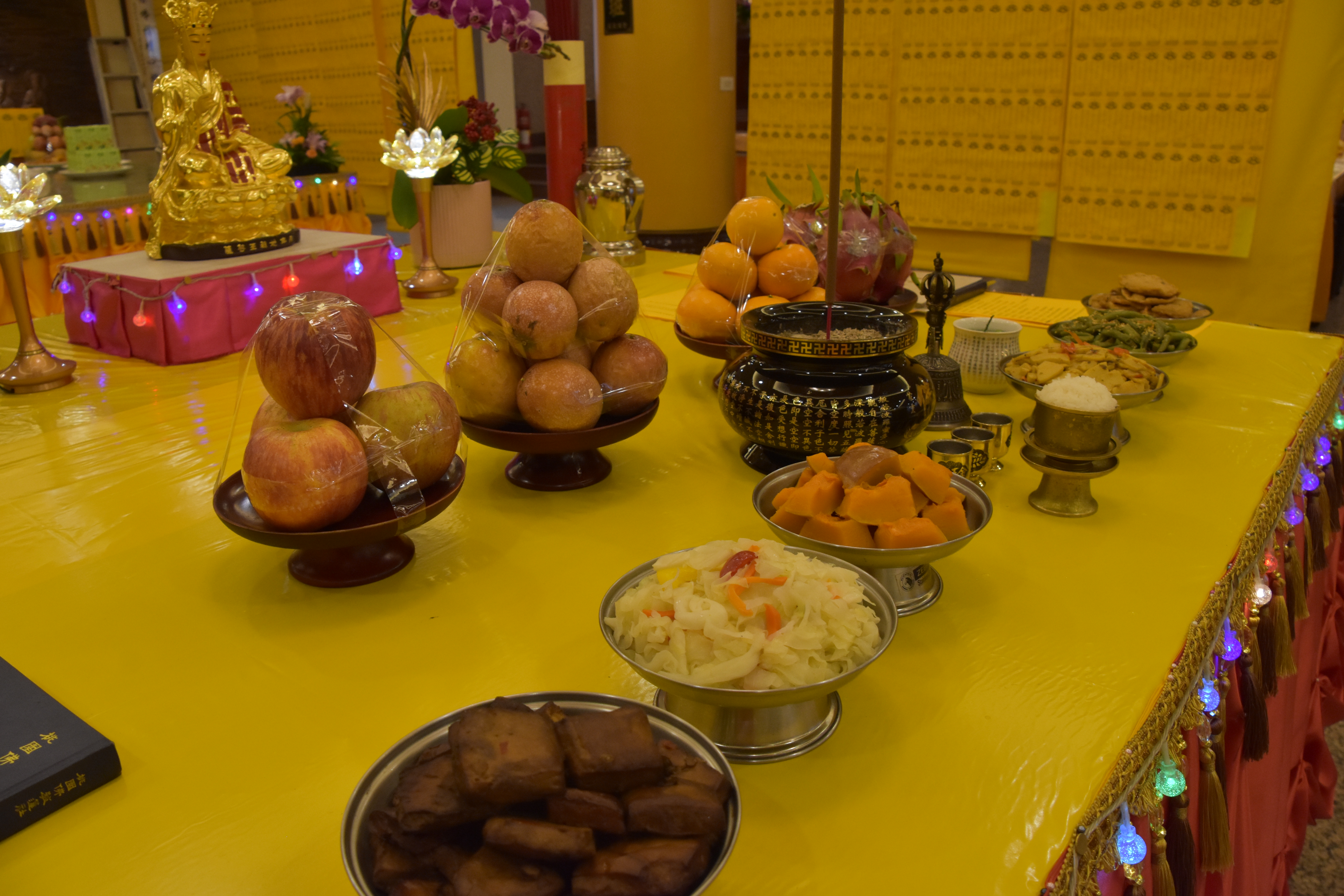 DSC_1023.JPG