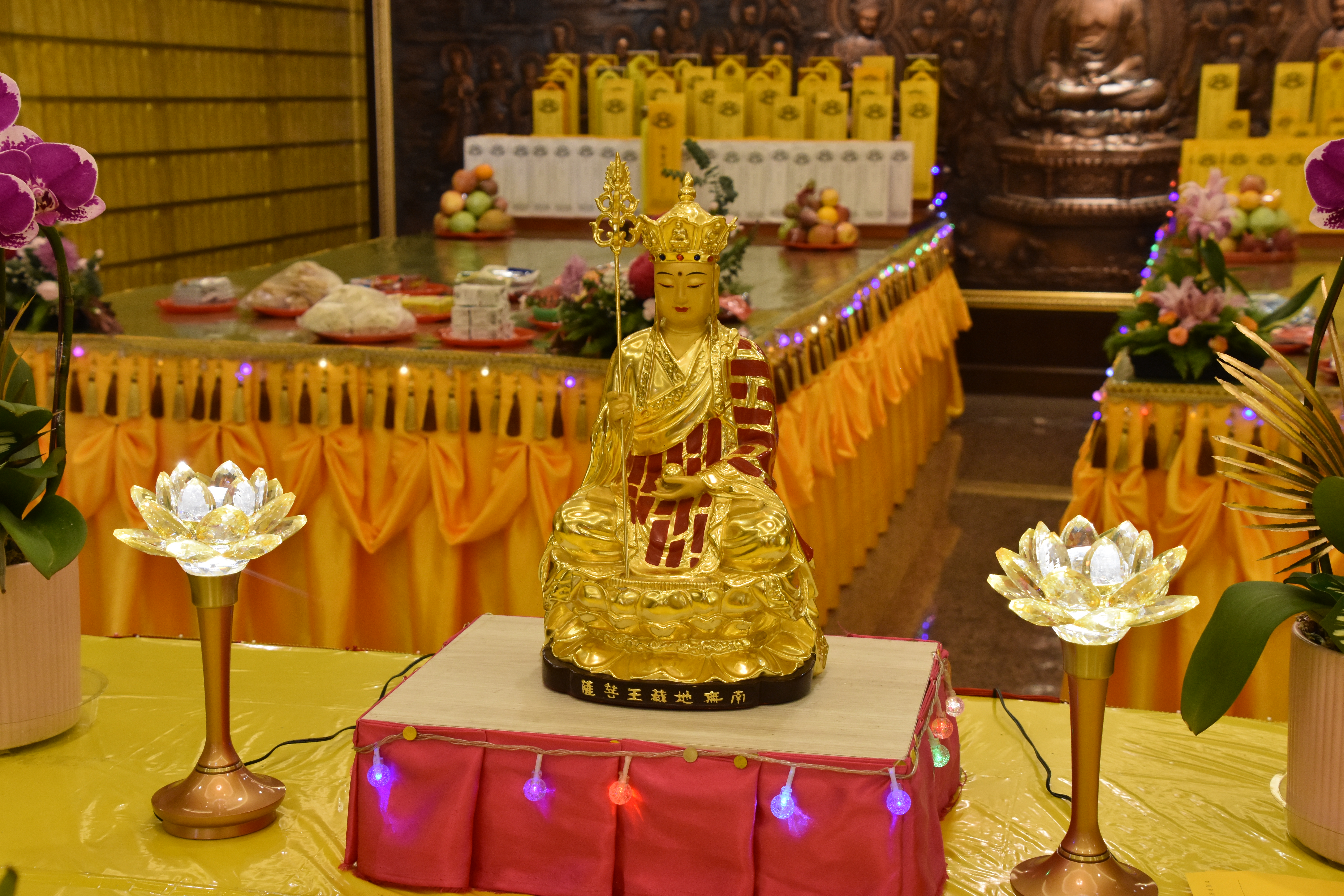 DSC_1192.JPG