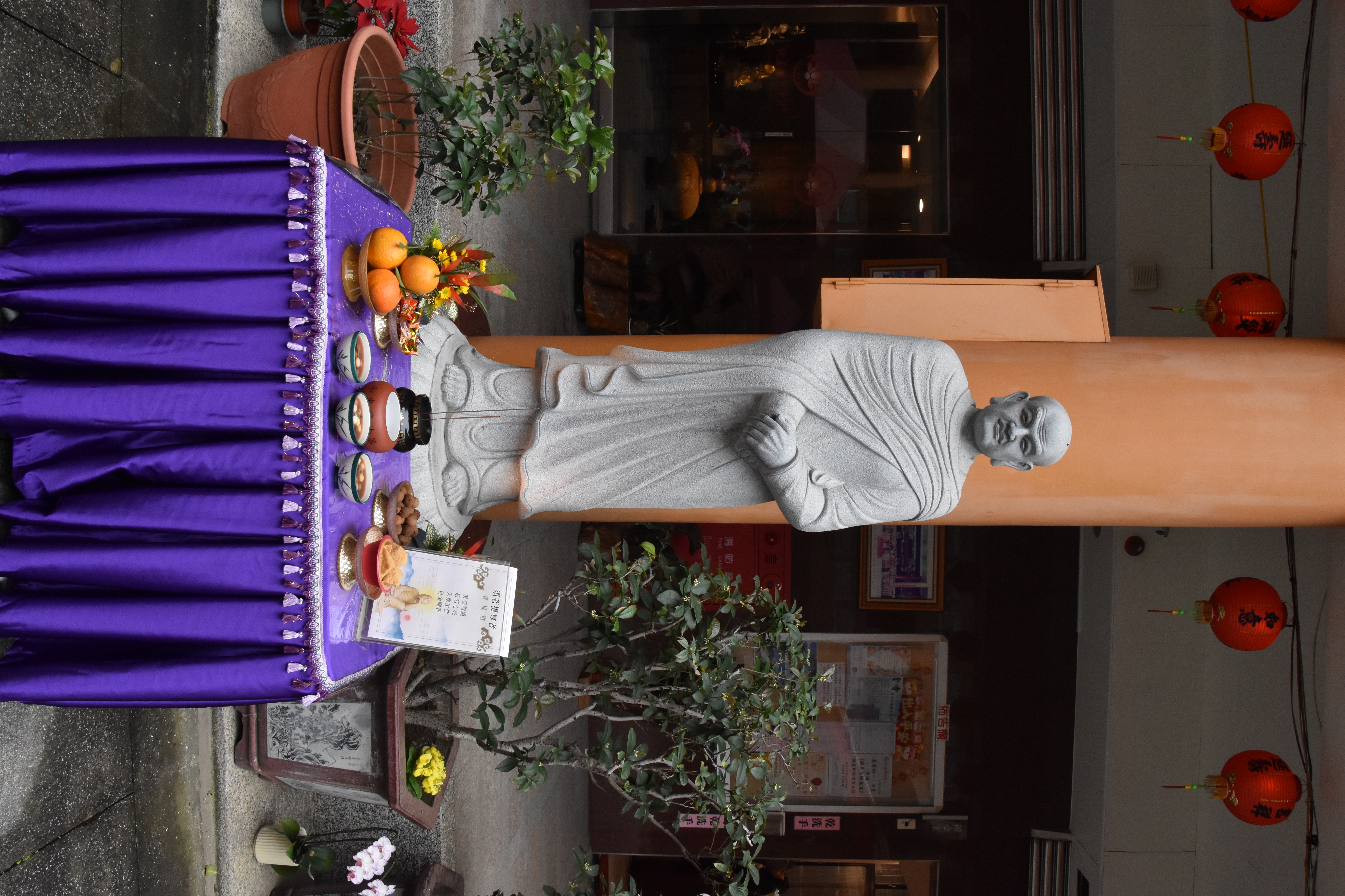 DSC_8635.JPG