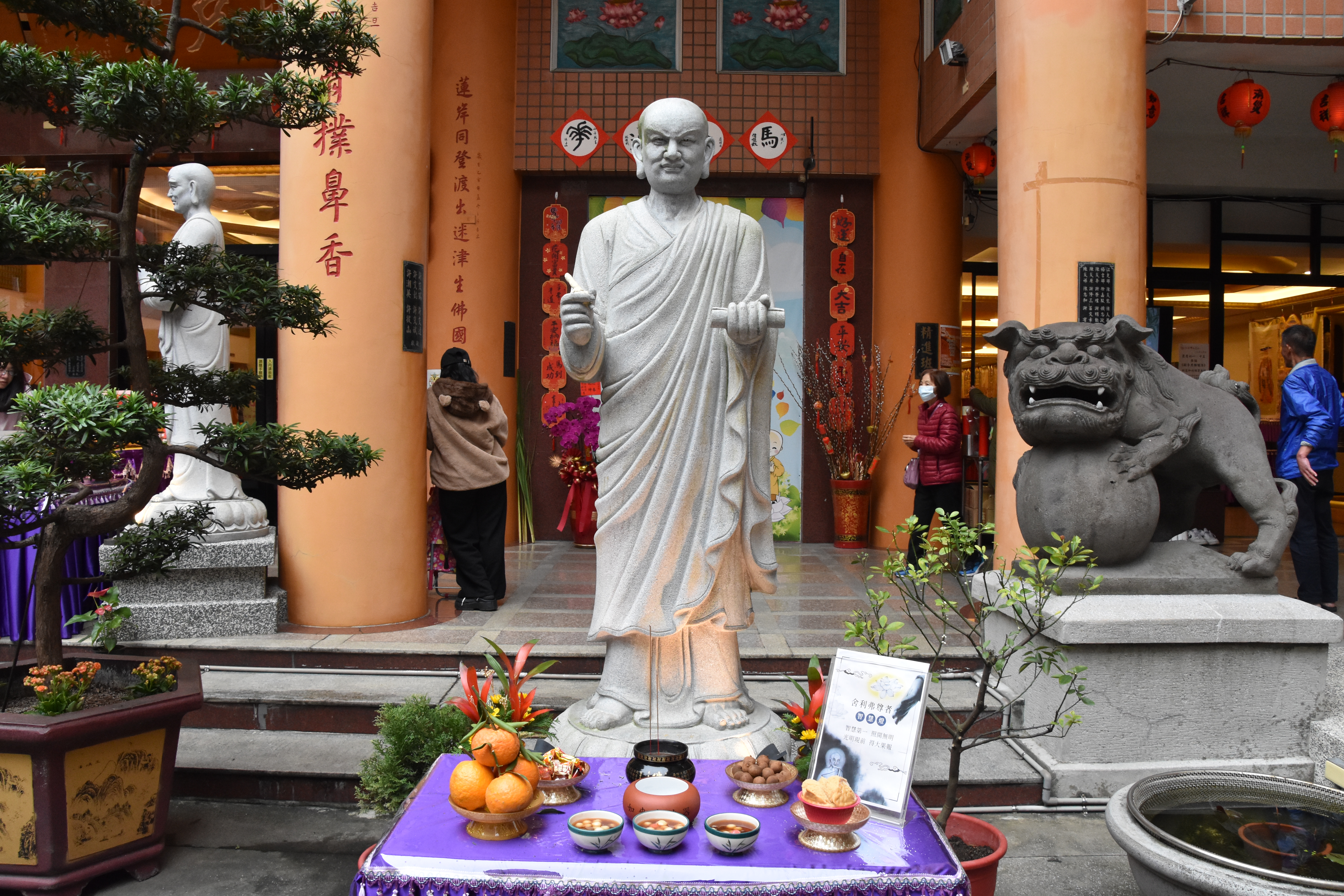 DSC_8637.JPG