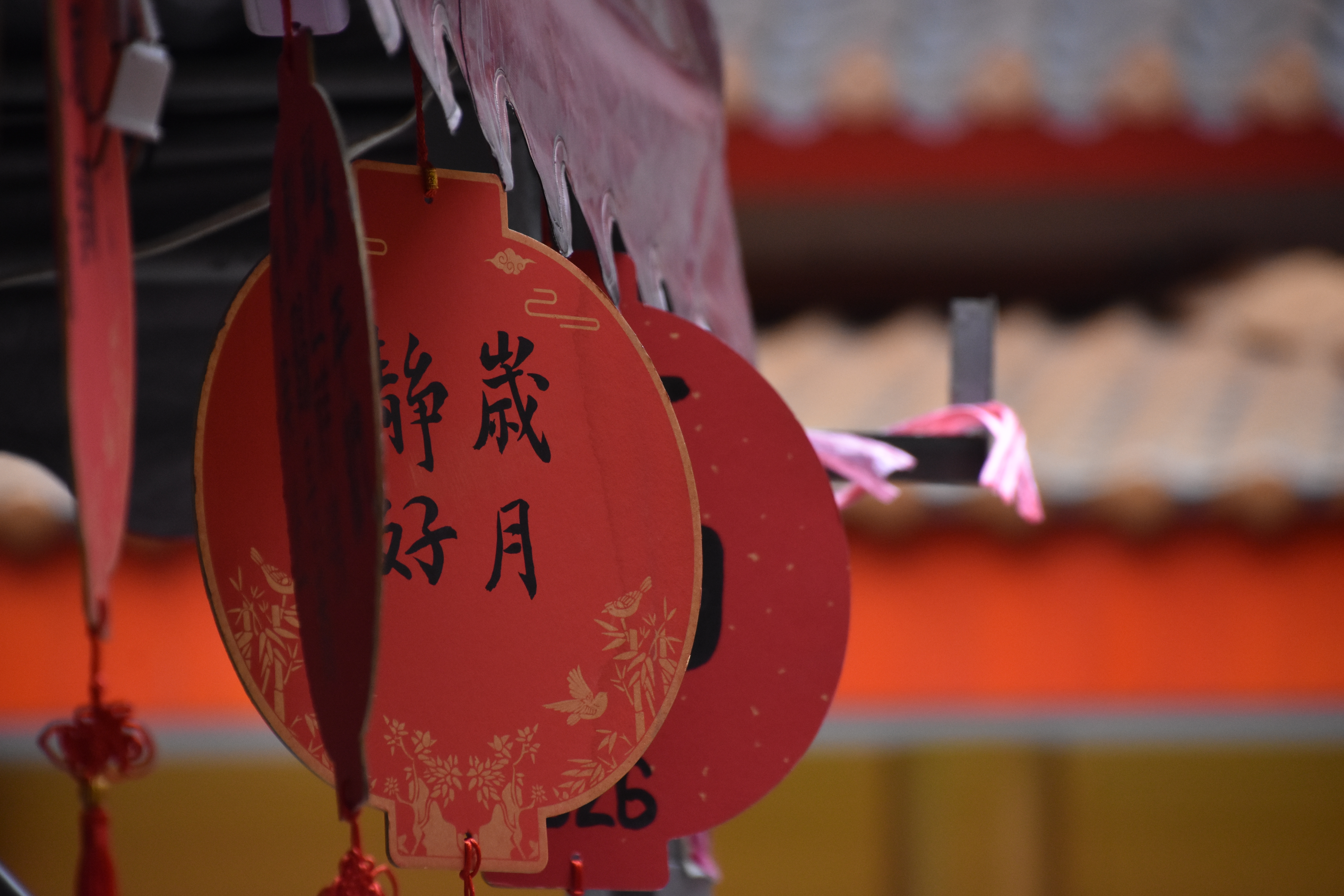 DSC_8964.JPG