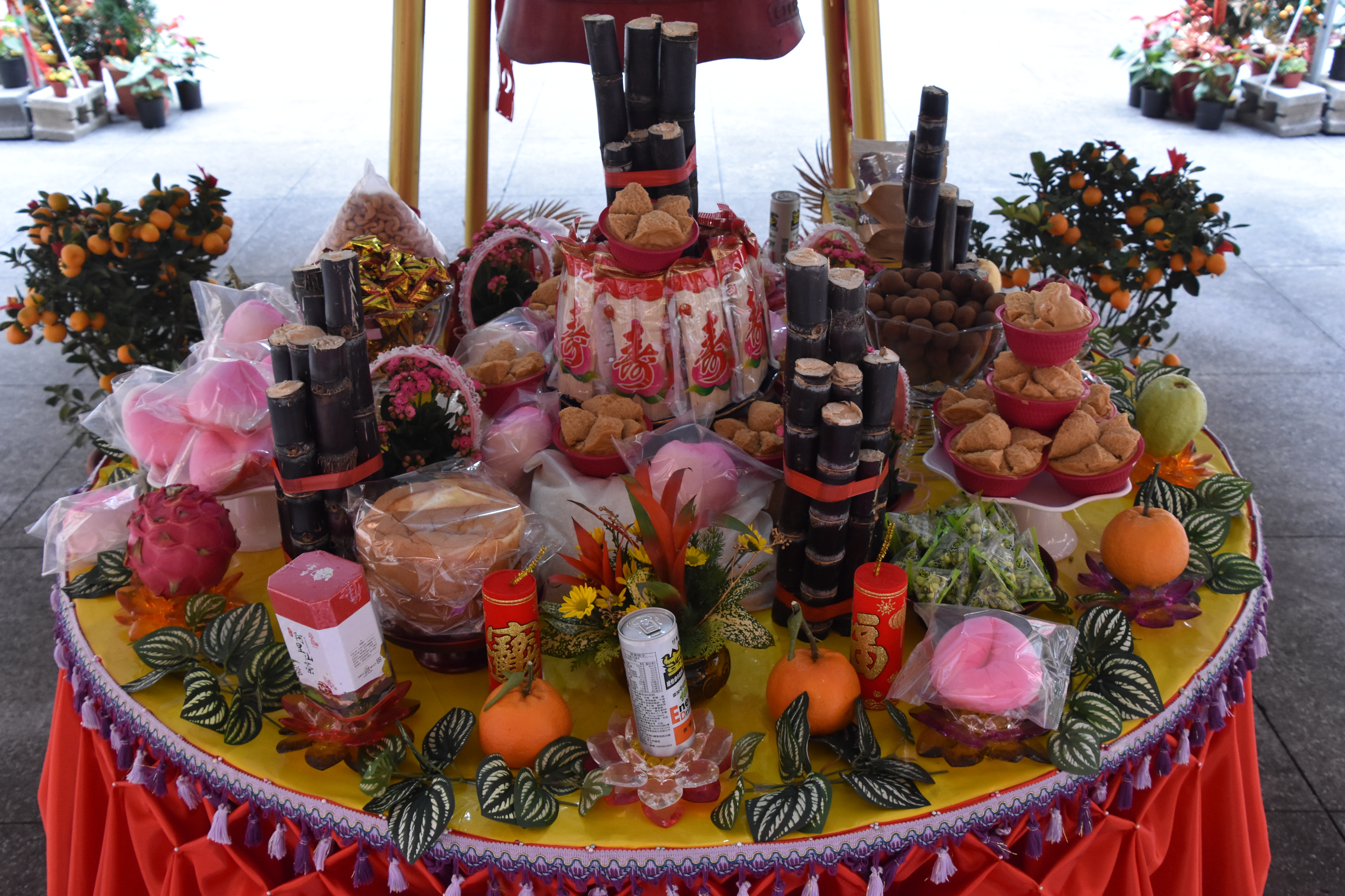 DSC_9176.JPG